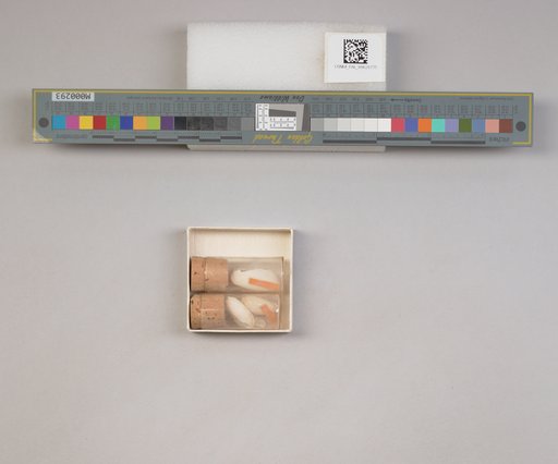NSF ADBC EPICC TCN