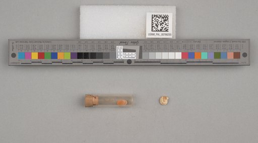 NSF ADBC EPICC TCN