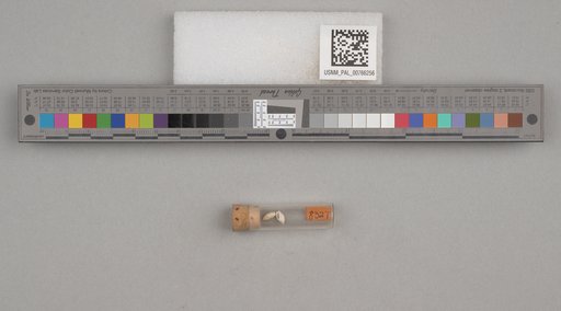 NSF ADBC EPICC TCN