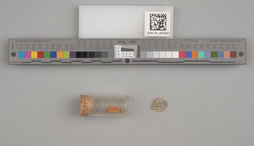 NSF ADBC EPICC TCN
