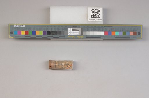 NSF ADBC EPICC TCN