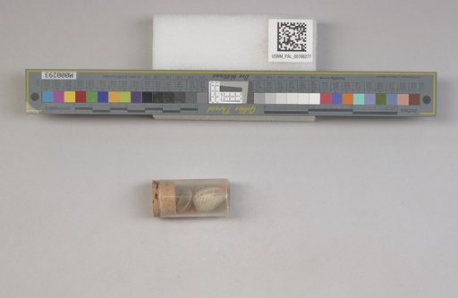 NSF ADBC EPICC TCN