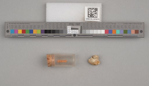 NSF ADBC EPICC TCN