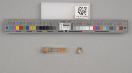 NSF ADBC EPICC TCN