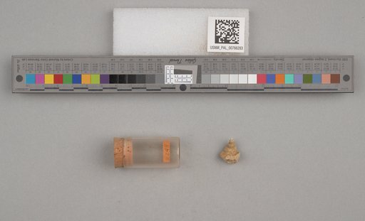 NSF ADBC EPICC TCN
