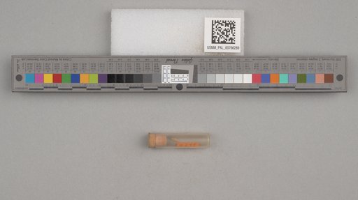 NSF ADBC EPICC TCN