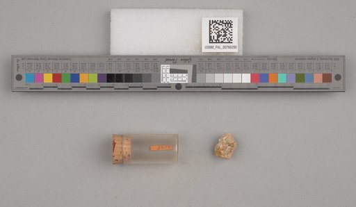 NSF ADBC EPICC TCN