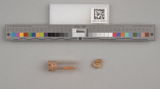 NSF ADBC EPICC TCN