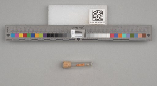 NSF ADBC EPICC TCN