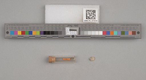 NSF ADBC EPICC TCN
