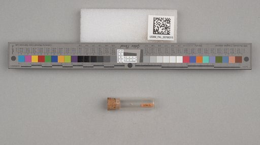 NSF ADBC EPICC TCN