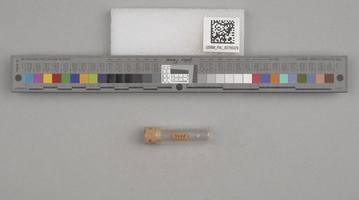 NSF ADBC EPICC TCN