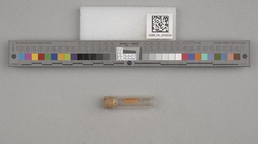 NSF ADBC EPICC TCN