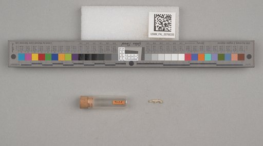 NSF ADBC EPICC TCN