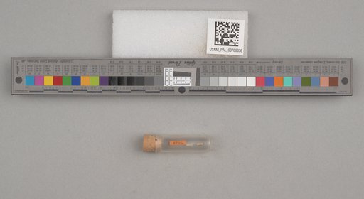 NSF ADBC EPICC TCN