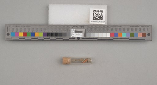 NSF ADBC EPICC TCN