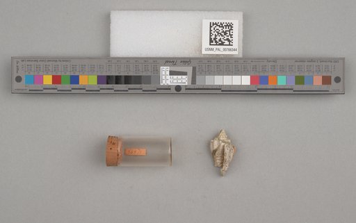 NSF ADBC EPICC TCN