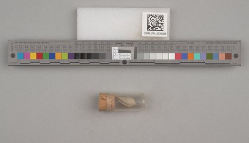 NSF ADBC EPICC TCN