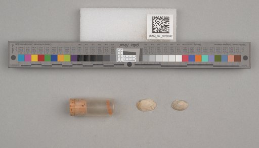NSF ADBC EPICC TCN