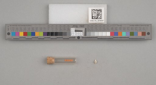 NSF ADBC EPICC TCN
