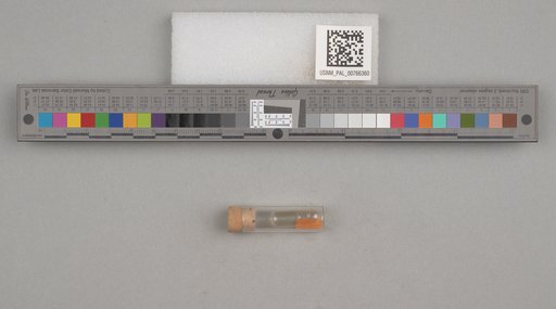 NSF ADBC EPICC TCN