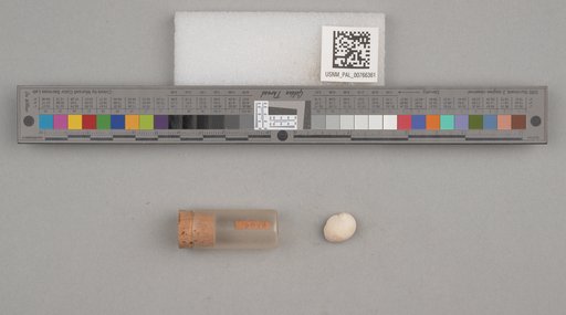 NSF ADBC EPICC TCN