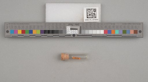 NSF ADBC EPICC TCN
