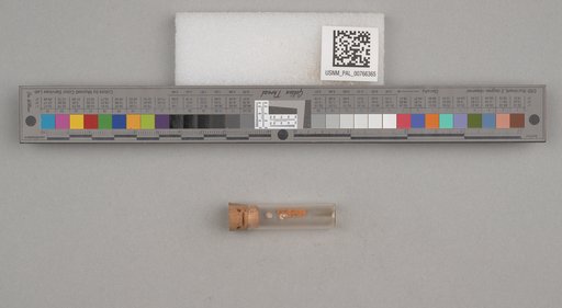 NSF ADBC EPICC TCN