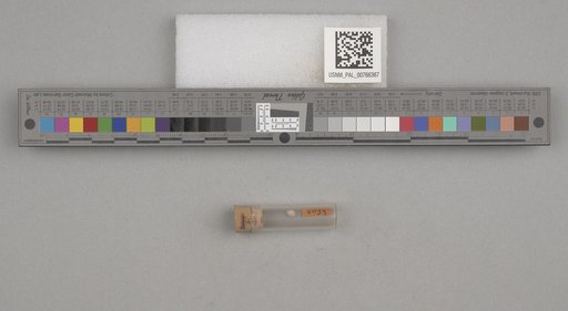 NSF ADBC EPICC TCN