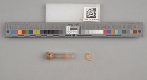 NSF ADBC EPICC TCN