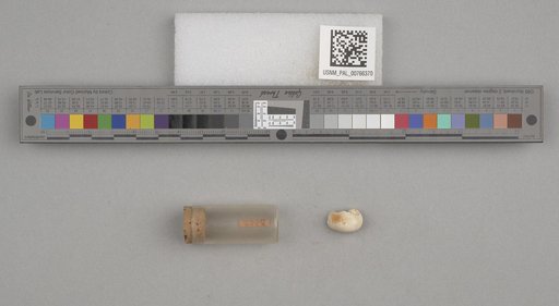 NSF ADBC EPICC TCN