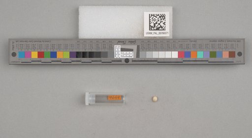 NSF ADBC EPICC TCN