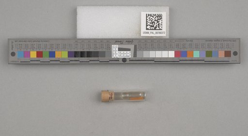 NSF ADBC EPICC TCN