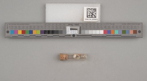 NSF ADBC EPICC TCN