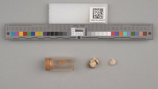 NSF ADBC EPICC TCN