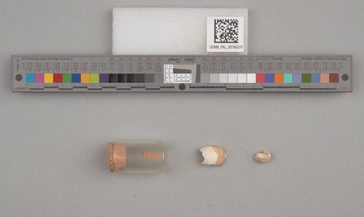 NSF ADBC EPICC TCN