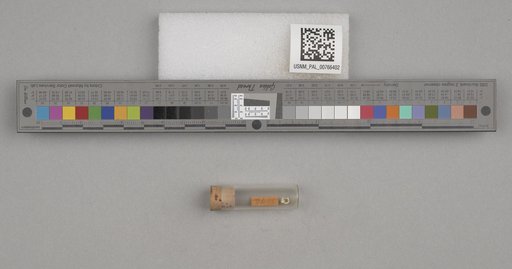 NSF ADBC EPICC TCN