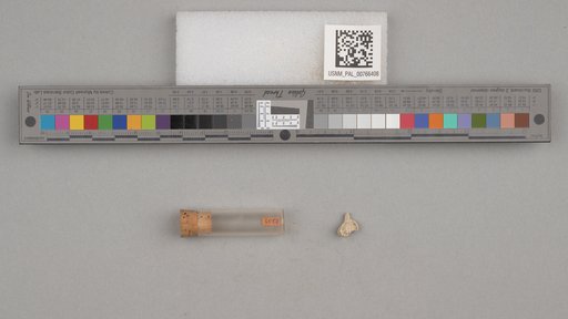NSF ADBC EPICC TCN