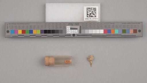 NSF ADBC EPICC TCN