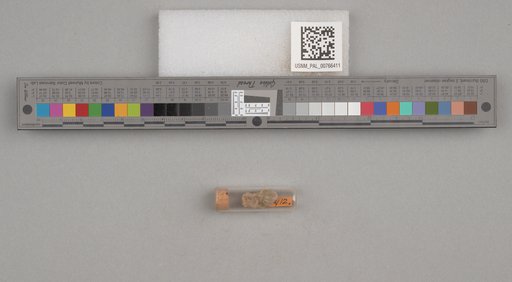 NSF ADBC EPICC TCN