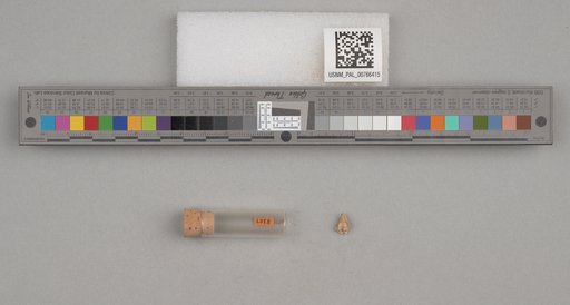 NSF ADBC EPICC TCN