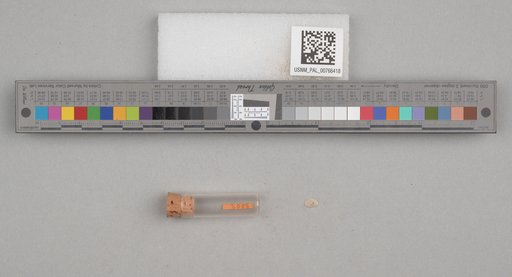 NSF ADBC EPICC TCN