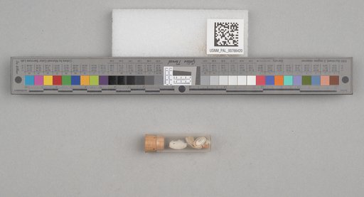 NSF ADBC EPICC TCN