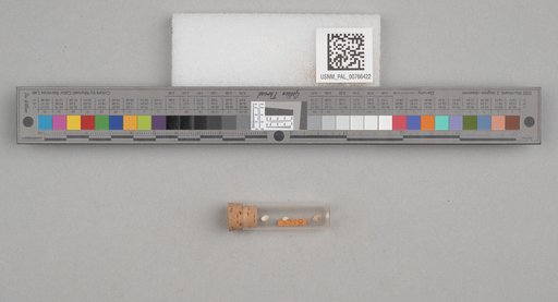NSF ADBC EPICC TCN