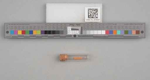 NSF ADBC EPICC TCN