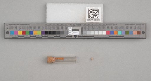 NSF ADBC EPICC TCN