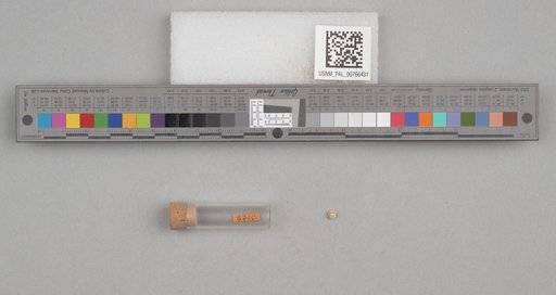 NSF ADBC EPICC TCN