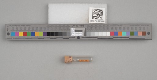 NSF ADBC EPICC TCN