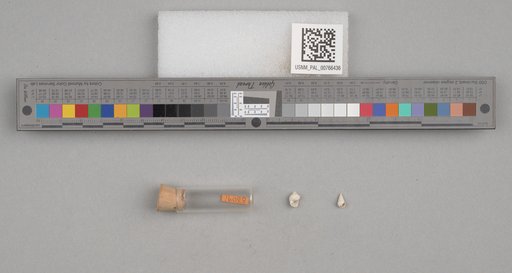 NSF ADBC EPICC TCN