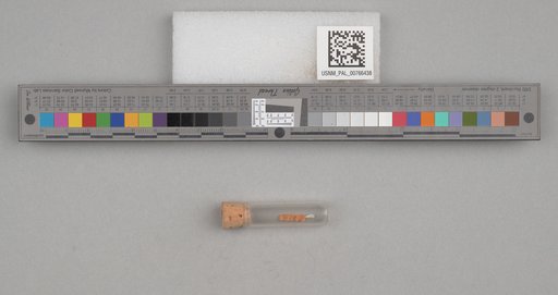 NSF ADBC EPICC TCN